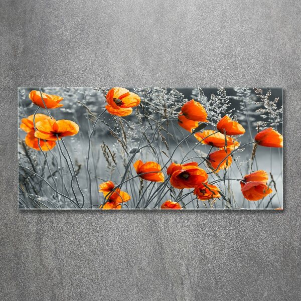 Print on acrylic Field poppies