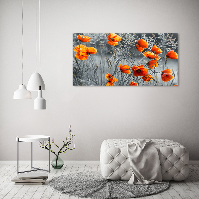 Print on acrylic Field poppies