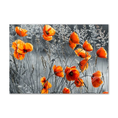 Print on acrylic Field poppies