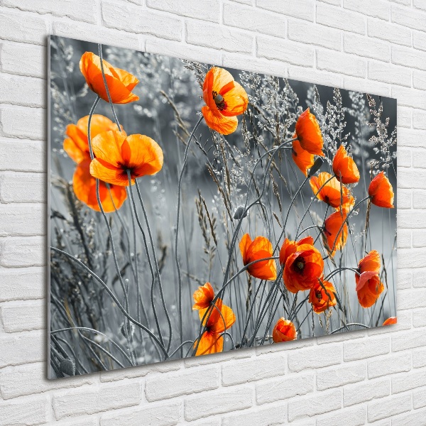 Print on acrylic Field poppies