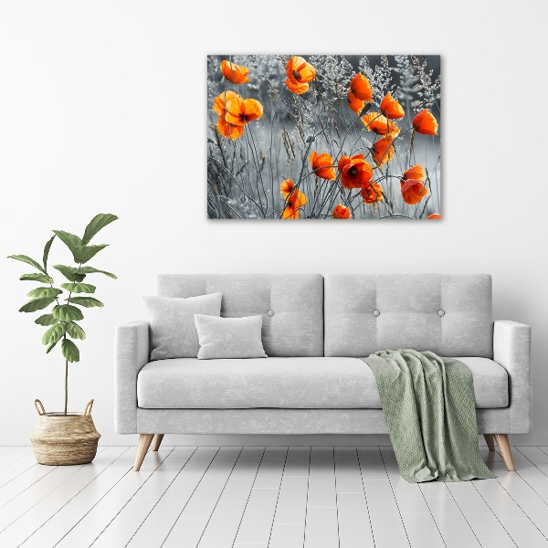 Print on acrylic Field poppies