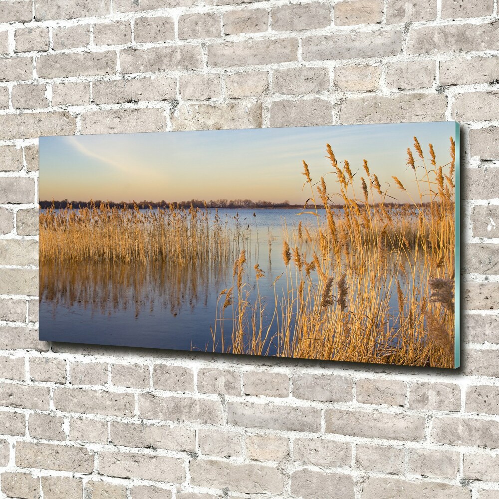 Glass acrylic wall art Water cane