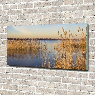 Glass acrylic wall art Water cane