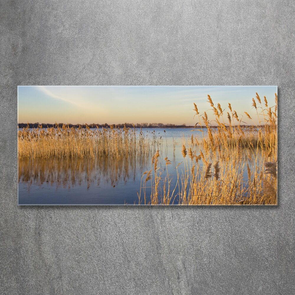 Glass acrylic wall art Water cane