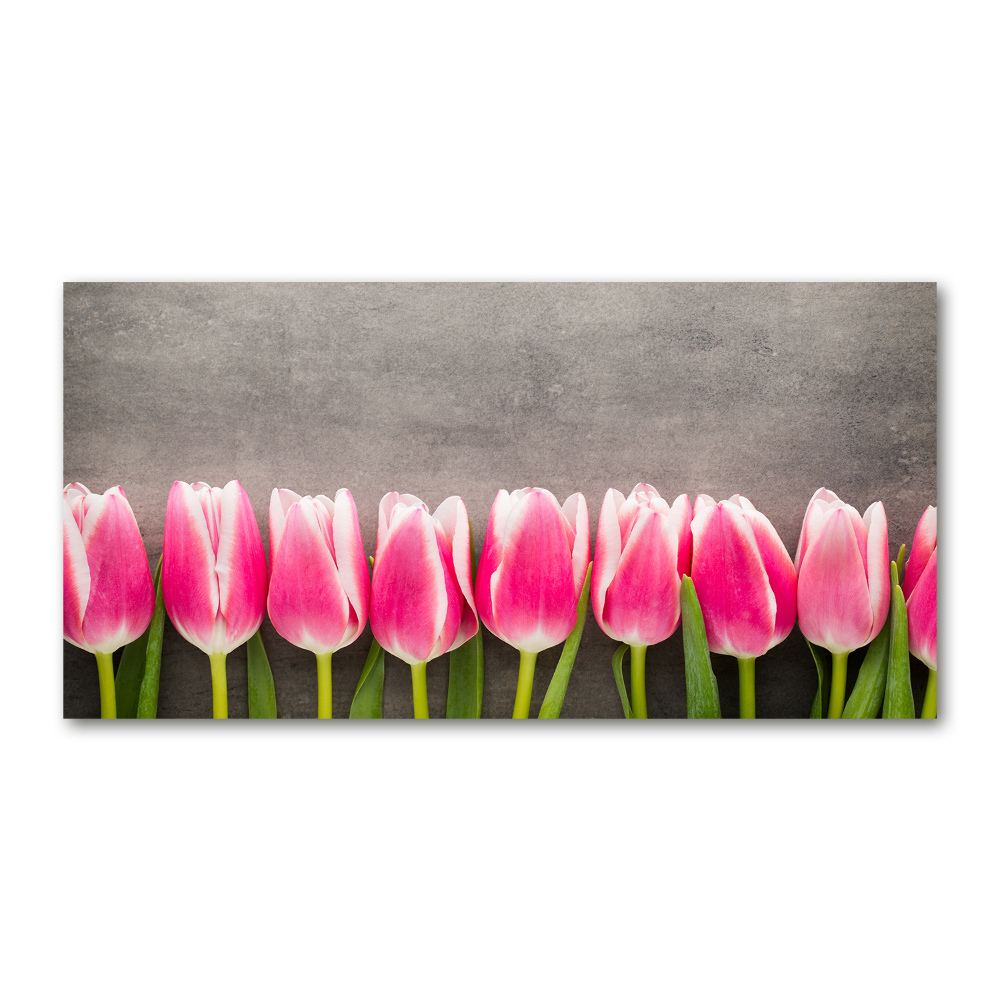 Print on acrylic Pink tulips