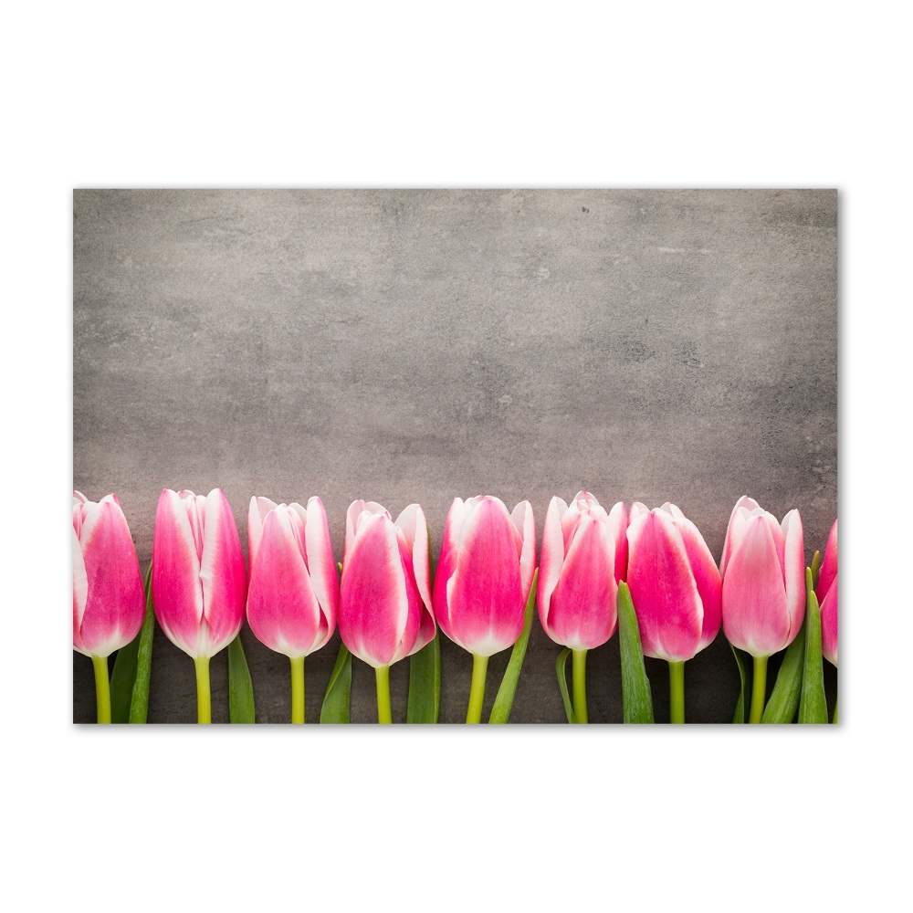 Print on acrylic Pink tulips