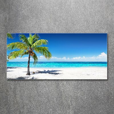 Glass acrylic wall art Tropical beach