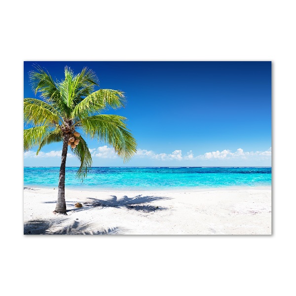 Glass acrylic wall art Tropical beach