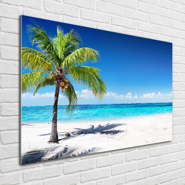 Glass acrylic wall art Tropical beach