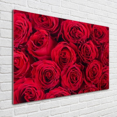 Print on acrylic Roses