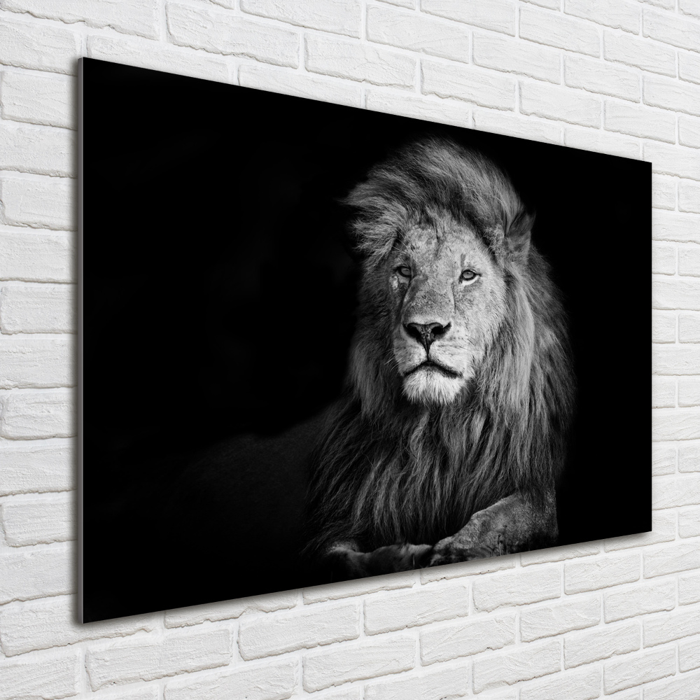 Print on acrylic Lion