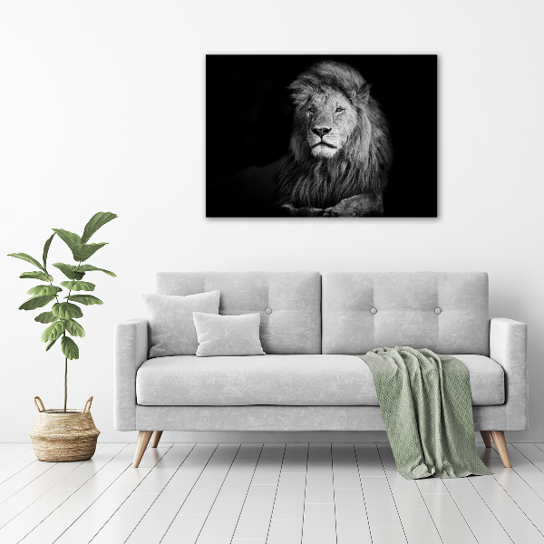 Print on acrylic Lion