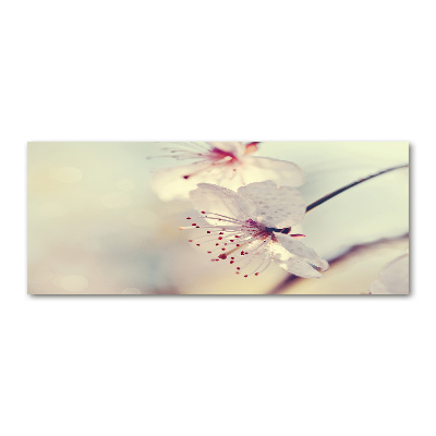 Wall art acrylic Cherry Blossom