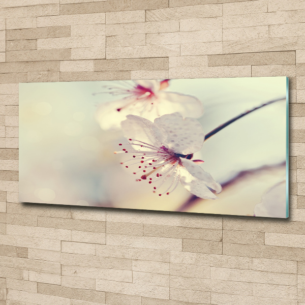 Wall art acrylic Cherry Blossom