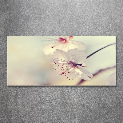 Wall art acrylic Cherry Blossom