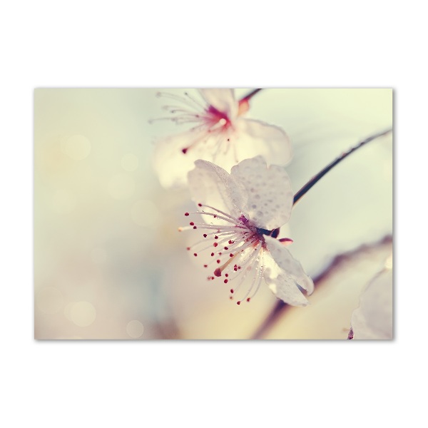 Wall art acrylic Cherry Blossom