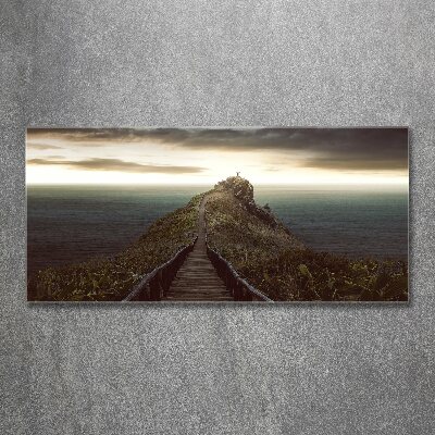 Acrylic wall picture Path on the rock