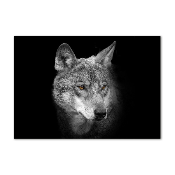 Wall art acrylic Wolf