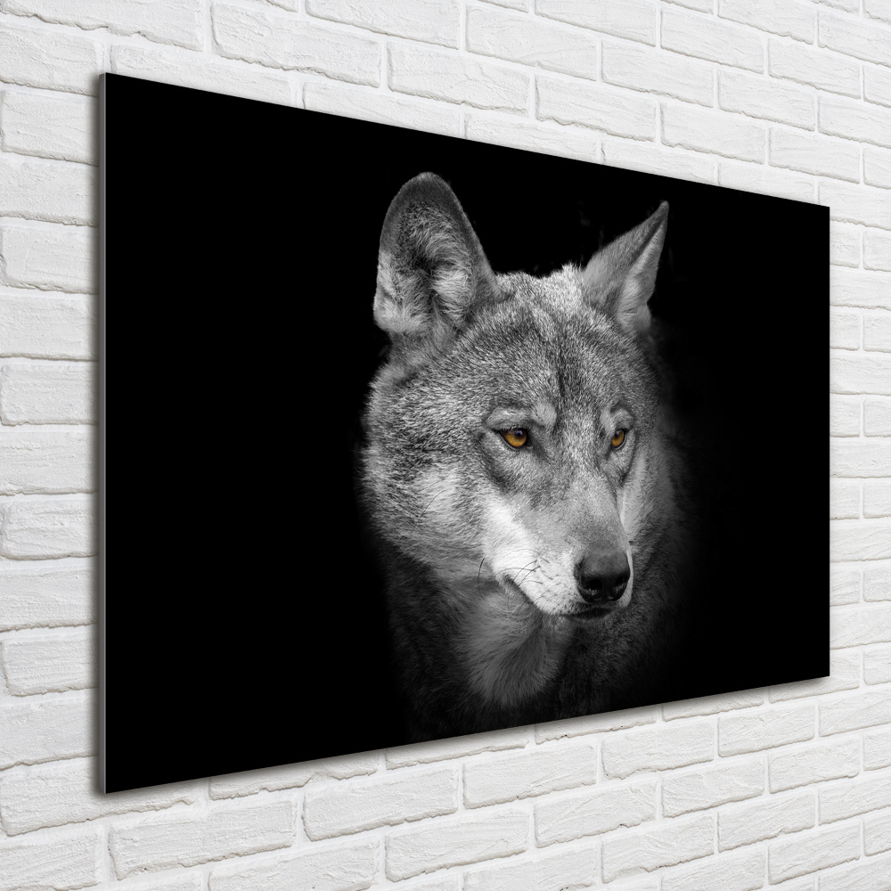 Wall art acrylic Wolf