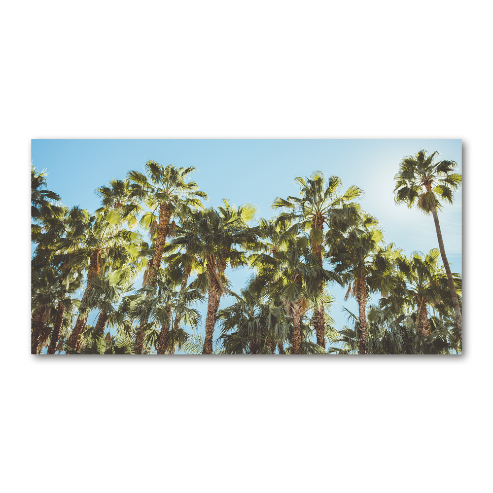 Acrylic wall picture High palm trees