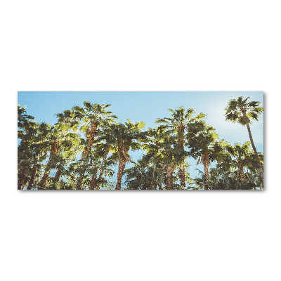 Acrylic wall picture High palm trees