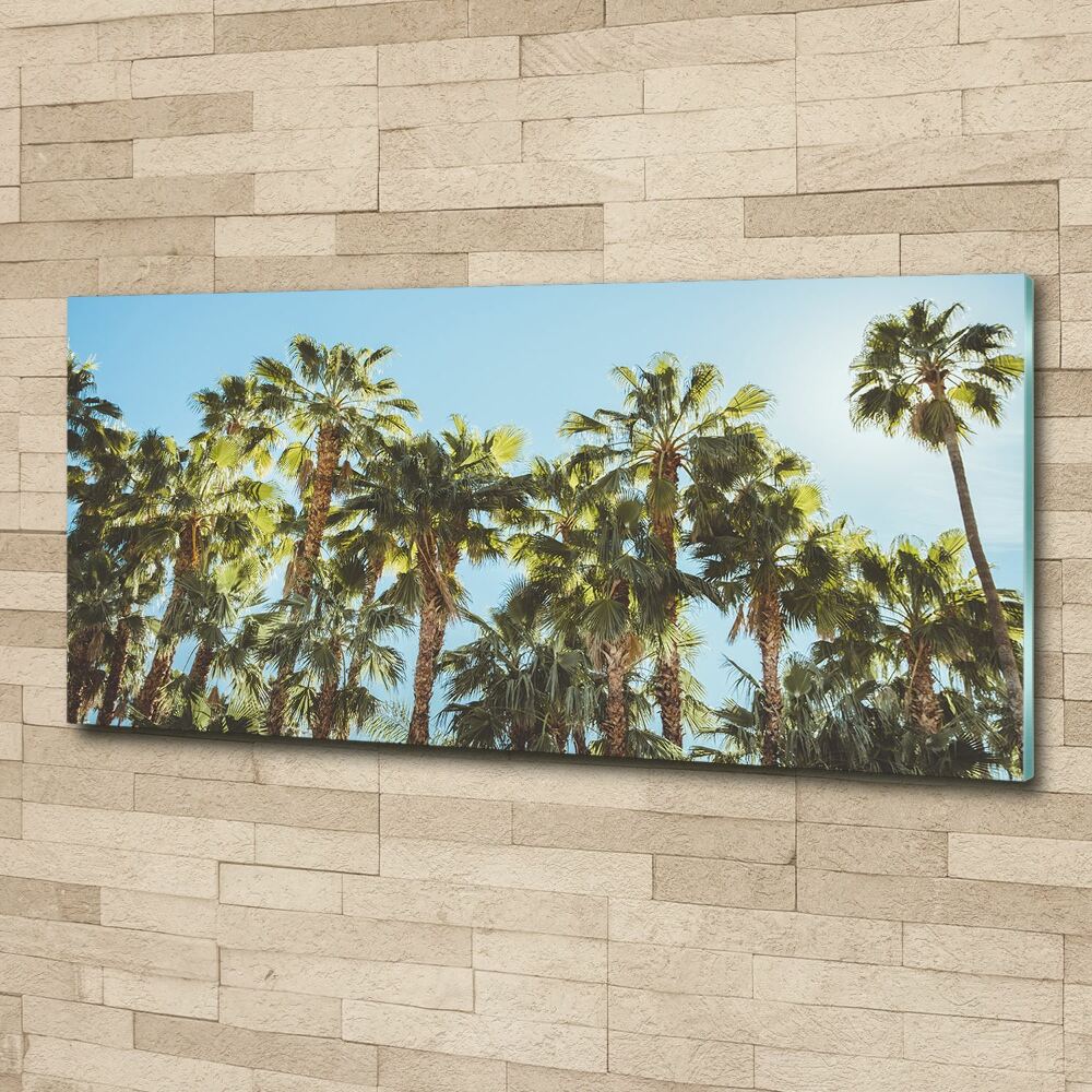 Acrylic wall picture High palm trees