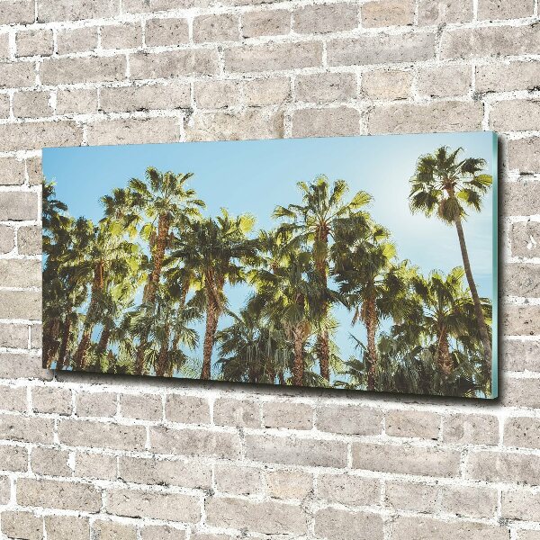 Acrylic wall picture High palm trees