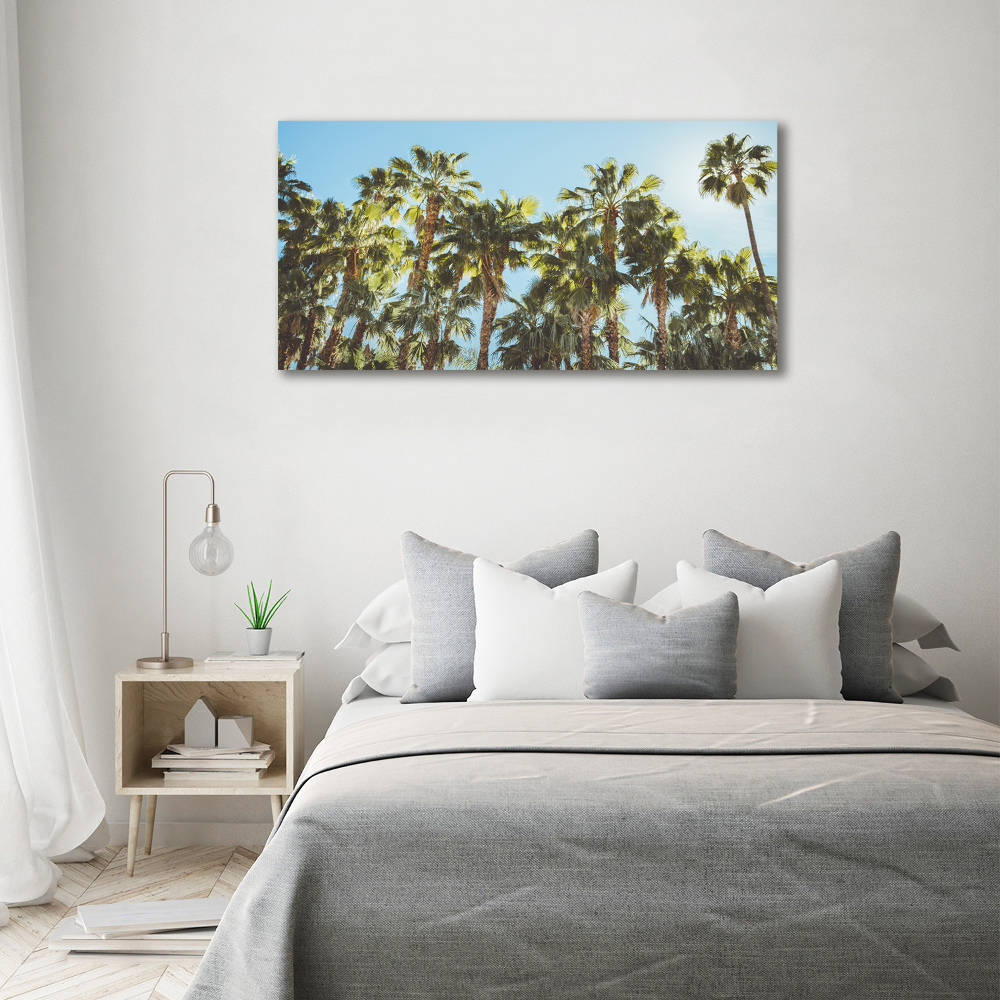 Acrylic wall picture High palm trees