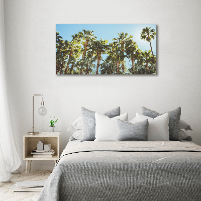 Acrylic wall picture High palm trees