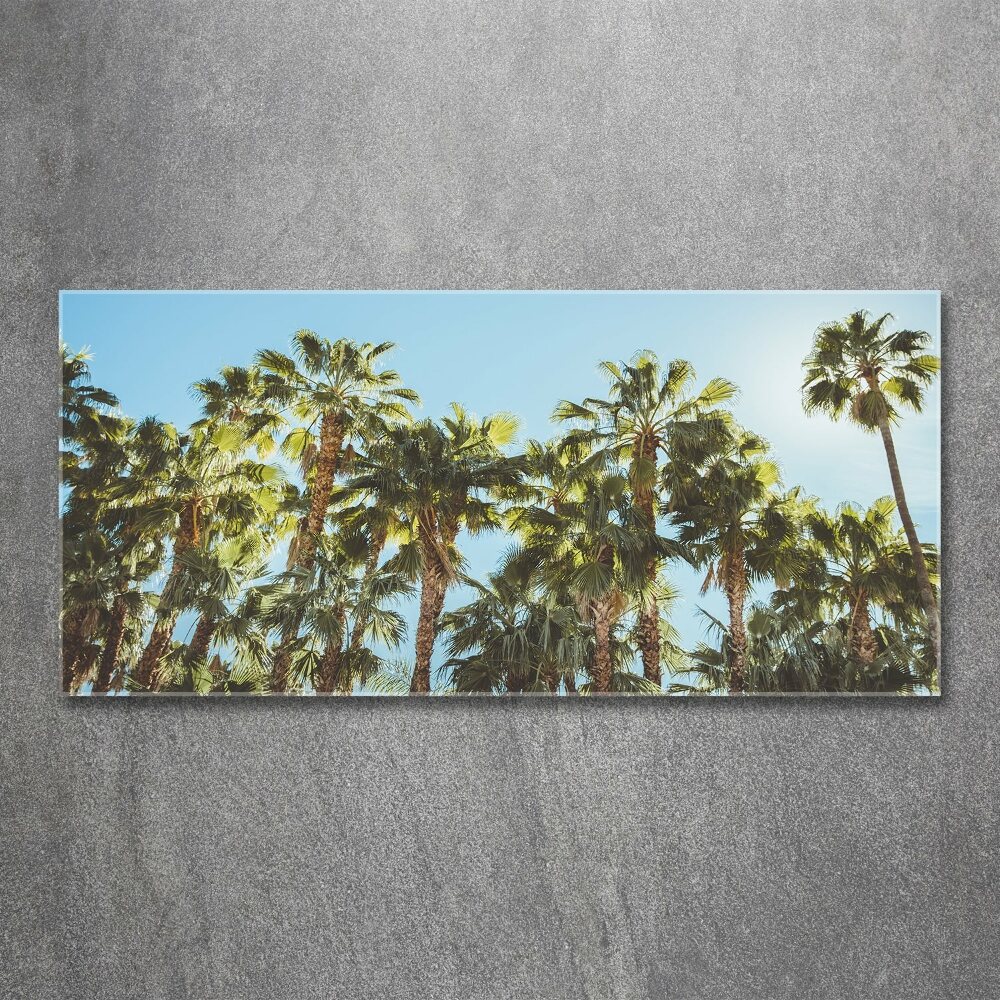 Acrylic wall picture High palm trees