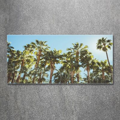 Acrylic wall picture High palm trees