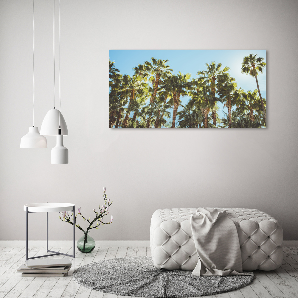 Acrylic wall picture High palm trees