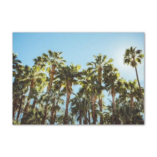 Acrylic wall picture High palm trees