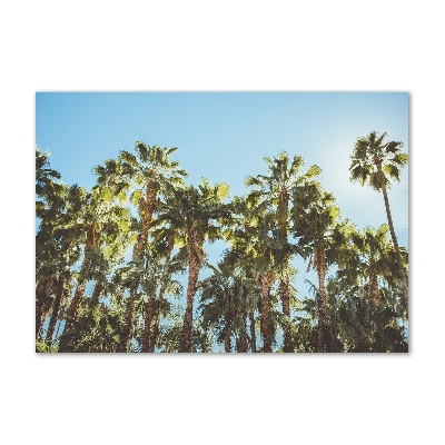 Acrylic wall picture High palm trees