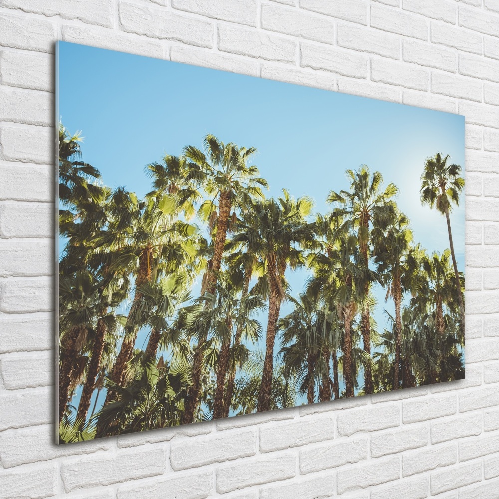 Acrylic wall picture High palm trees