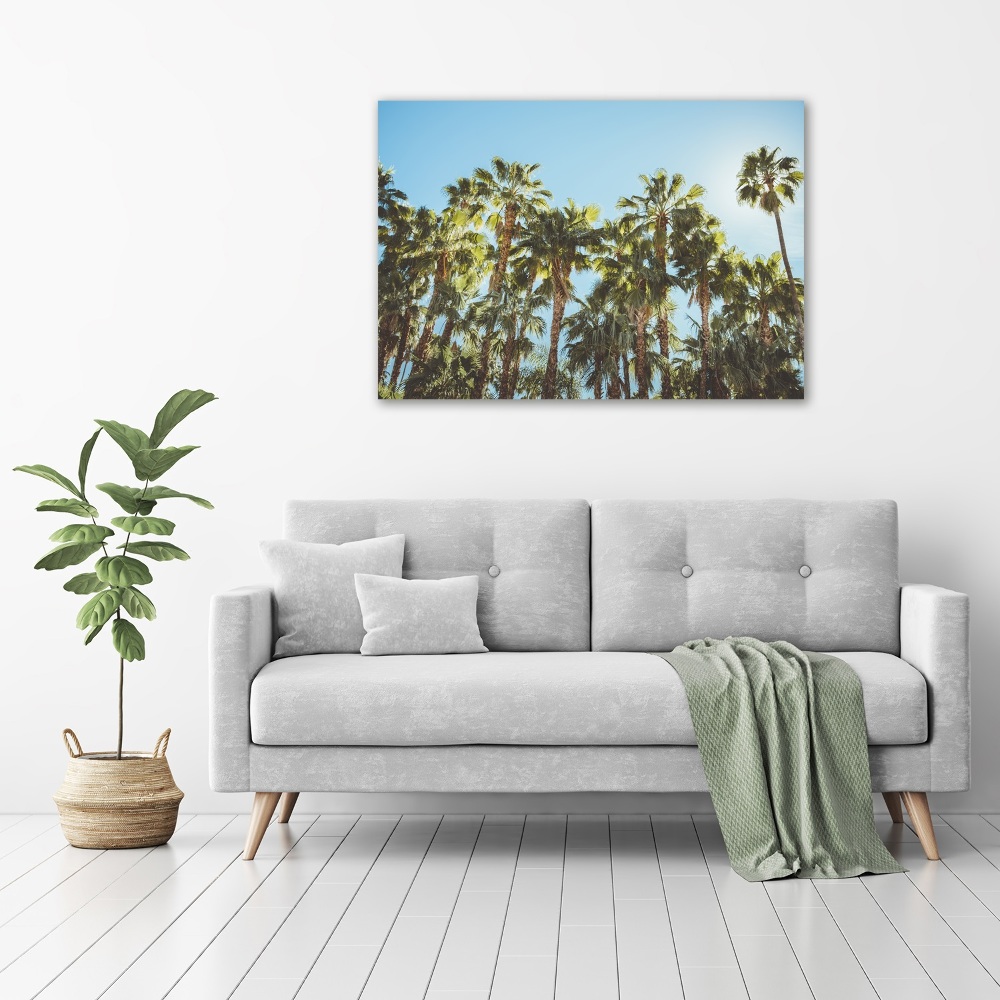 Acrylic wall picture High palm trees