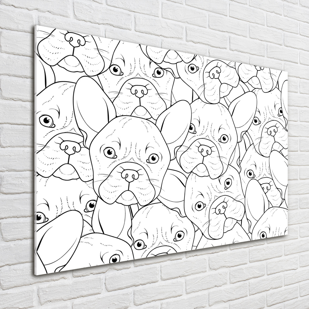 Print on acrylic French Bulldogs