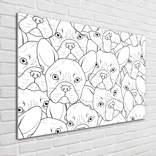 Print on acrylic French Bulldogs