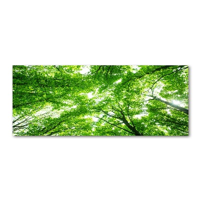 Wall art acrylic Green Forest