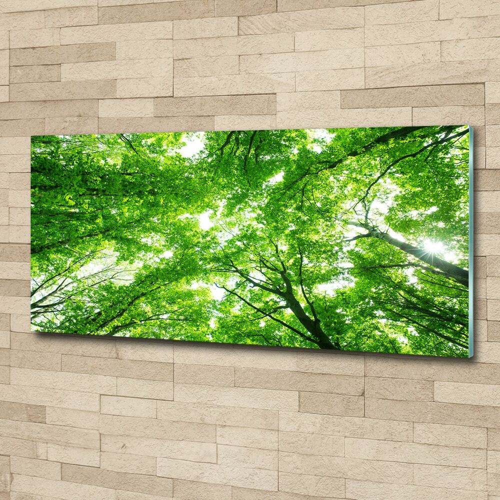 Wall art acrylic Green Forest