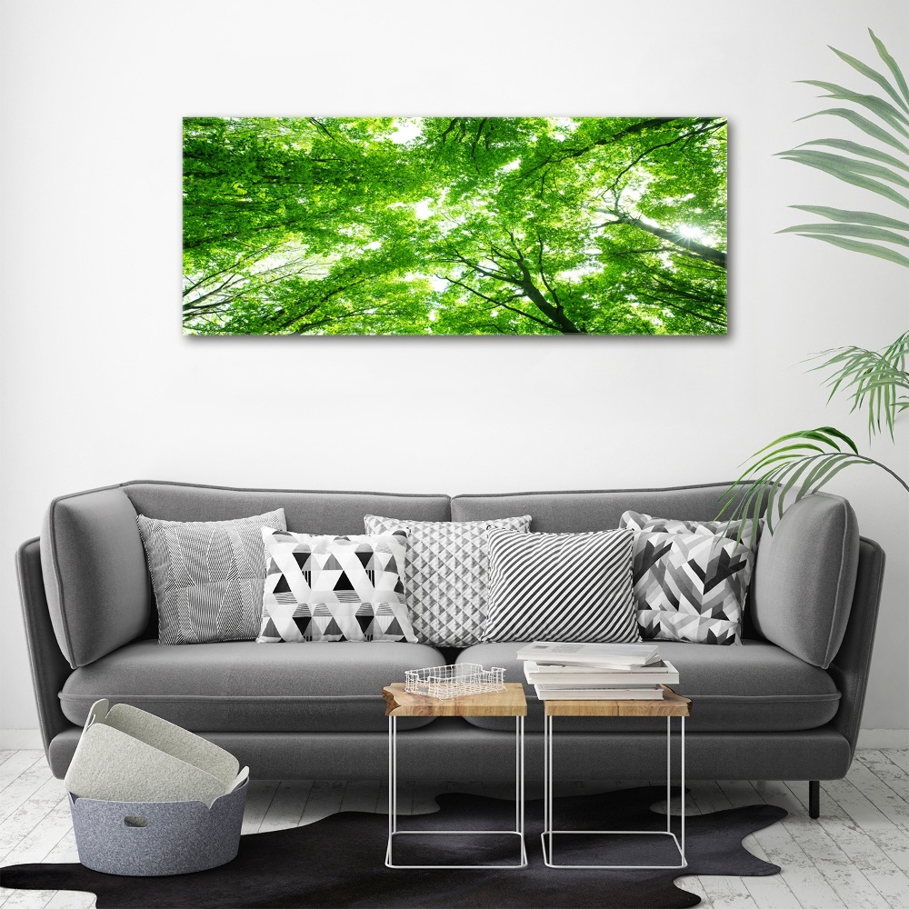 Wall art acrylic Green Forest