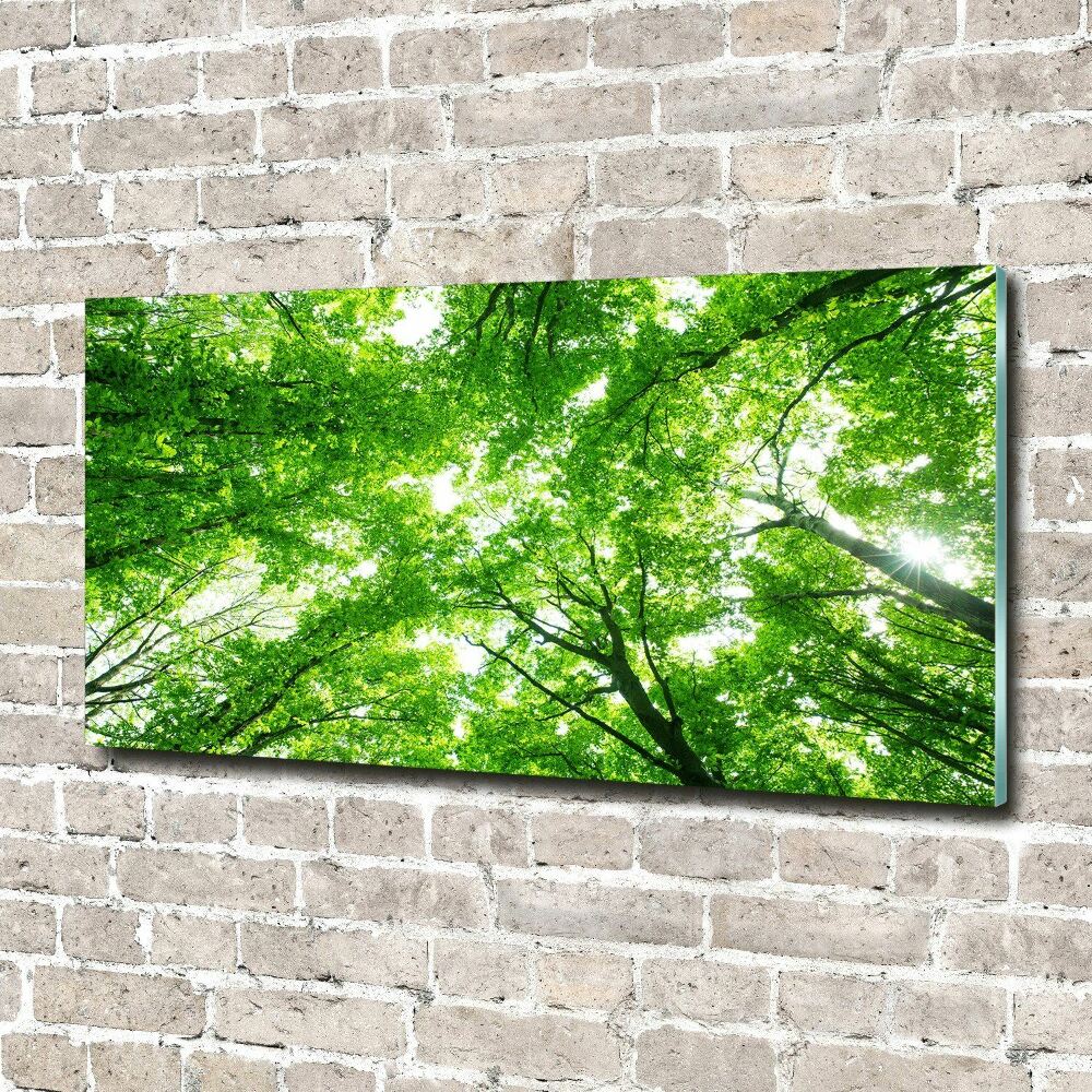 Wall art acrylic Green Forest