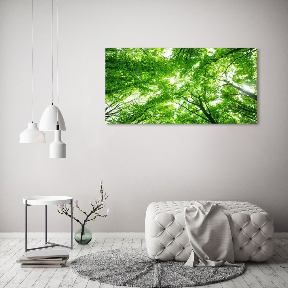 Wall art acrylic Green Forest