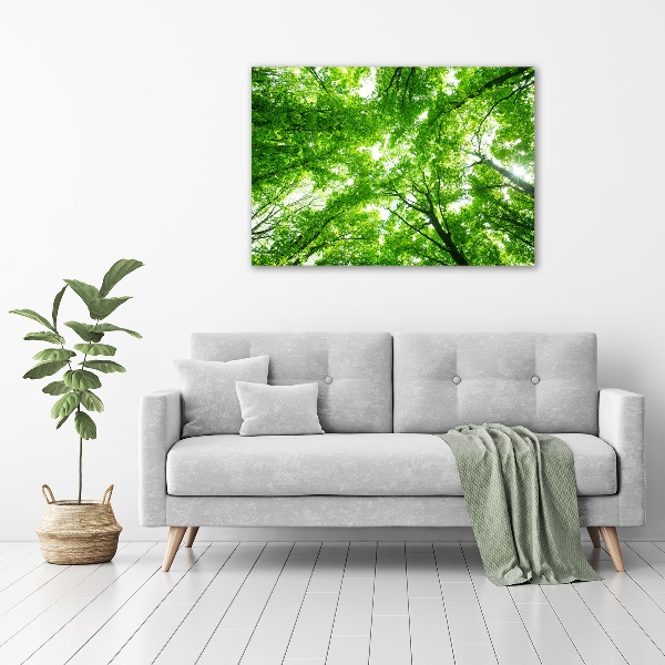 Wall art acrylic Green Forest