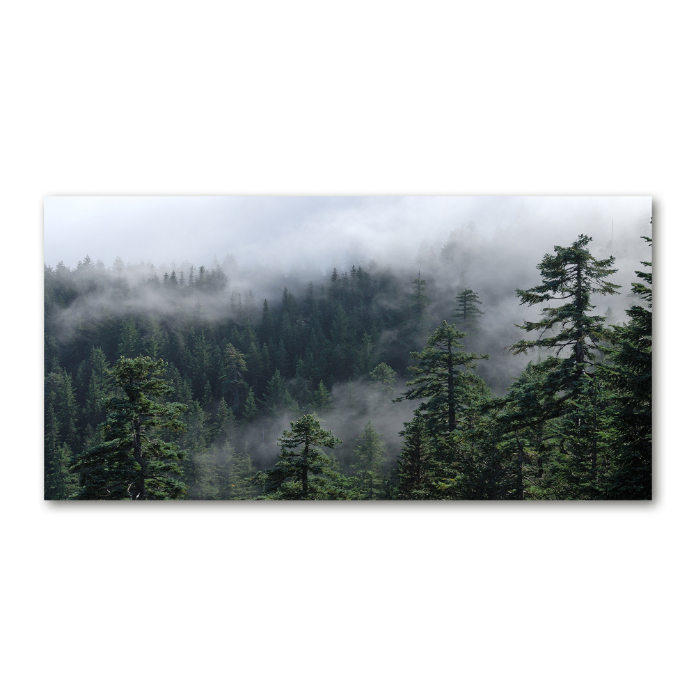 Print on acrylic Forest fog