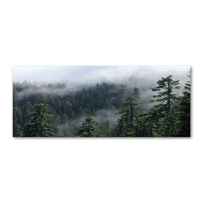 Print on acrylic Forest fog