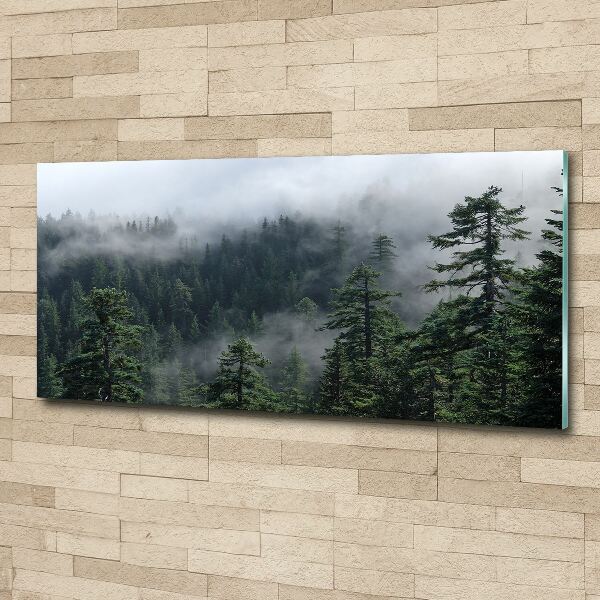 Print on acrylic Forest fog