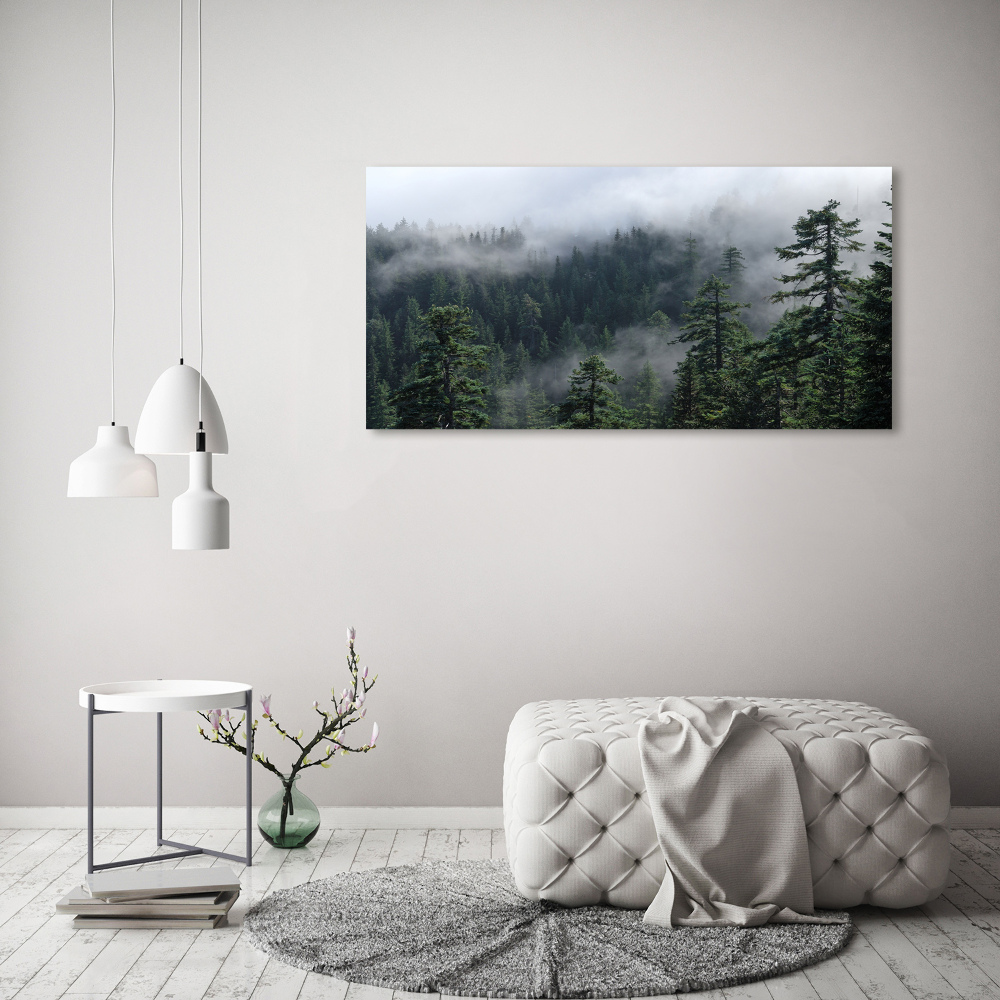 Print on acrylic Forest fog