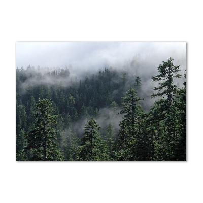 Print on acrylic Forest fog