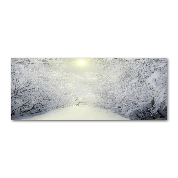 Print on acrylic A beautiful forest in winter